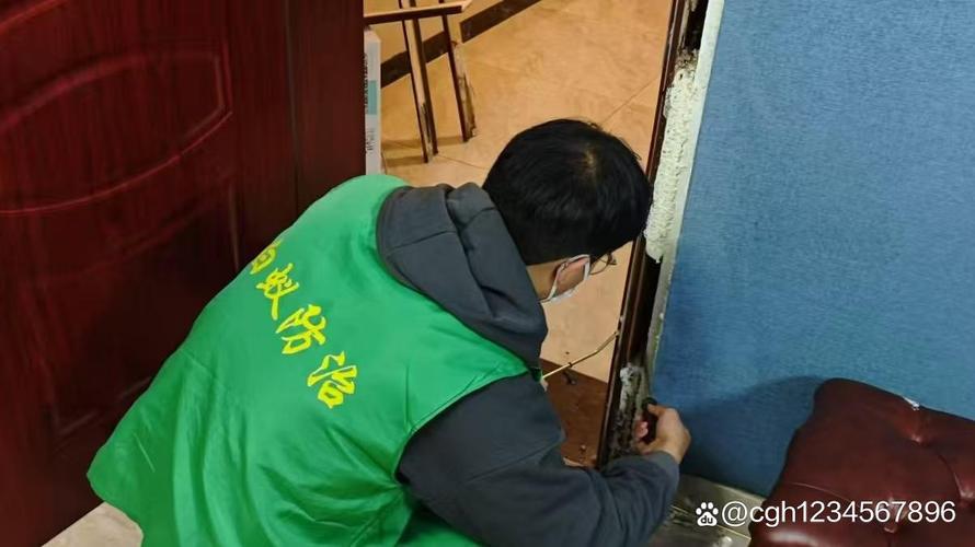 桐庐白蚁防治技术咨询与白蚁消杀单位选择指南